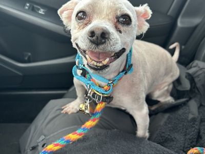 Hello my name is Silas