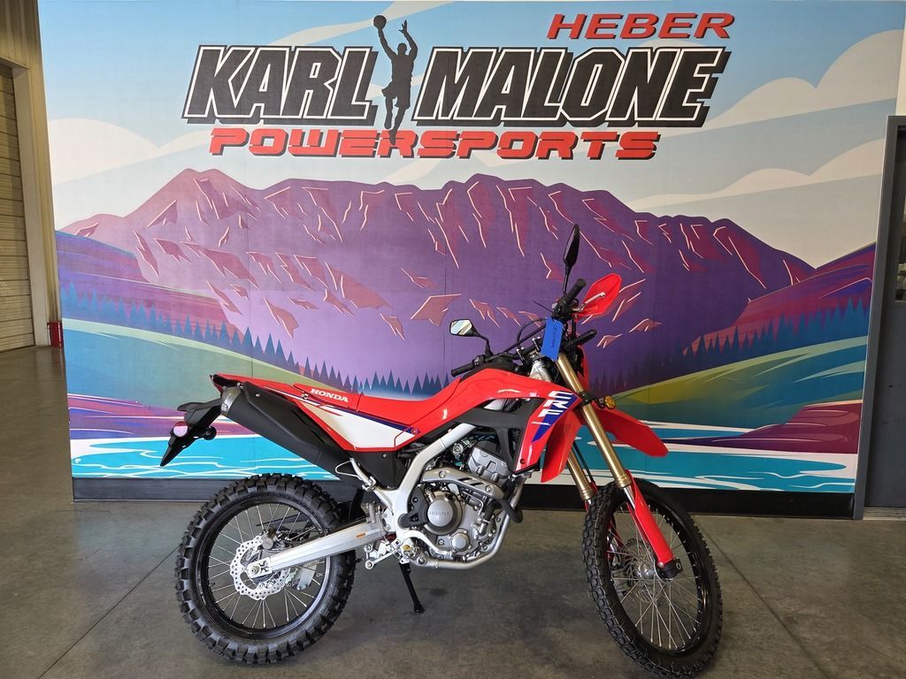 2025 Honda CRF300L Red - H00829-C