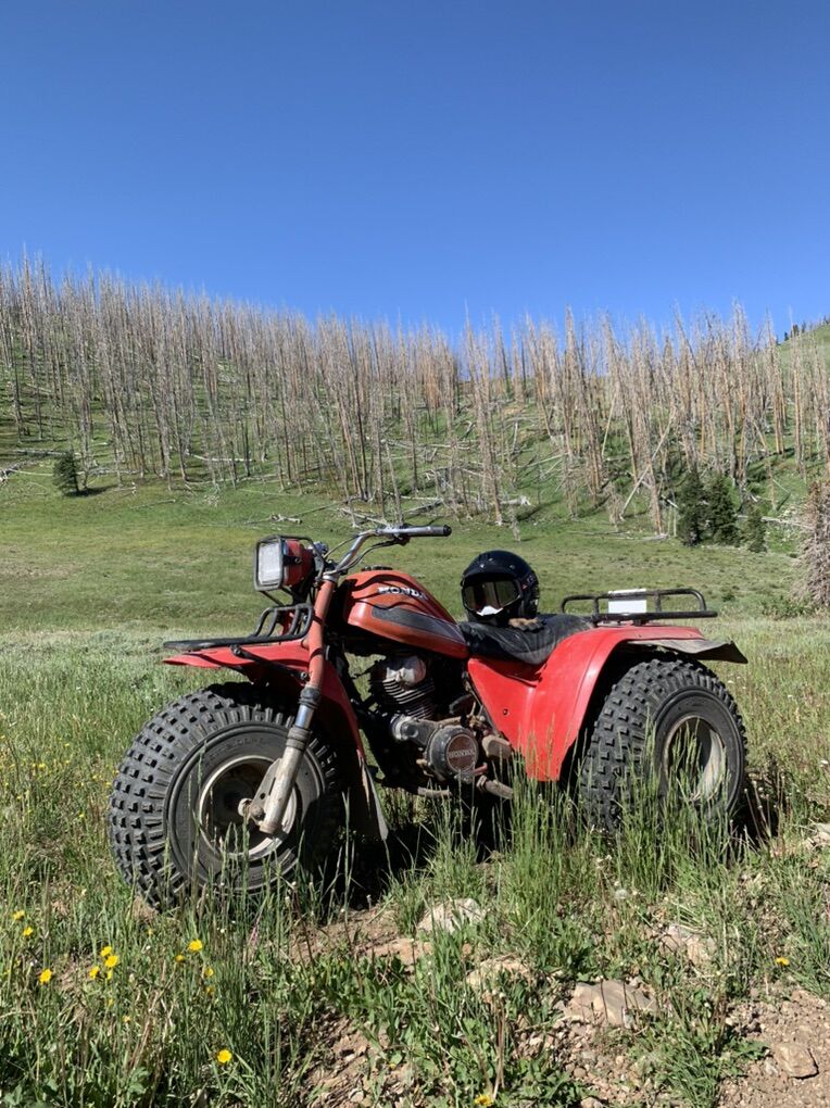 1982 Honda ATC 200e Big Red