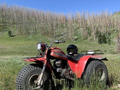 1982 Honda ATC 200e Big Red
