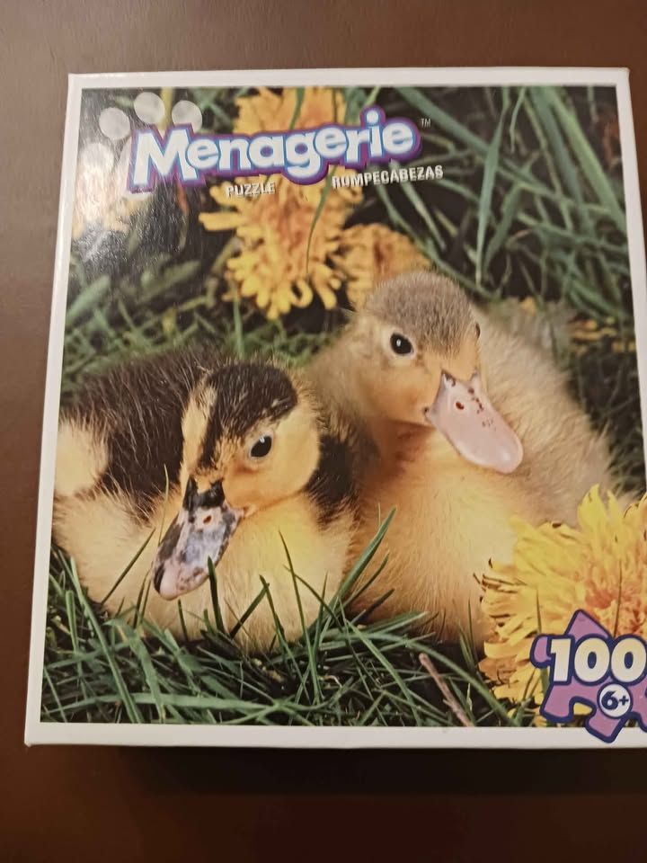 Ducks Jigsaw Puzzle
