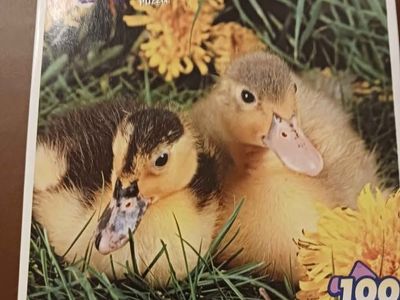 Ducks Jigsaw Puzzle
