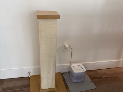Cat Scratching Post