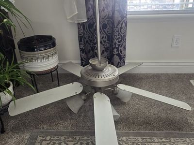 Ceiling fan