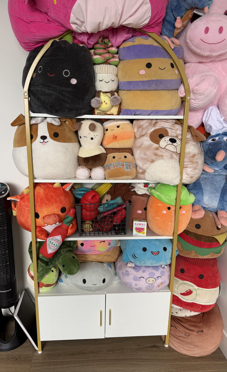 Book and storage shelf