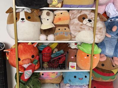 Book and storage shelf