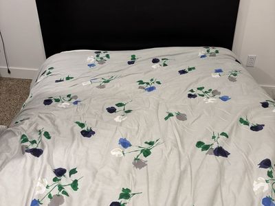 Black Queen Bed Frame