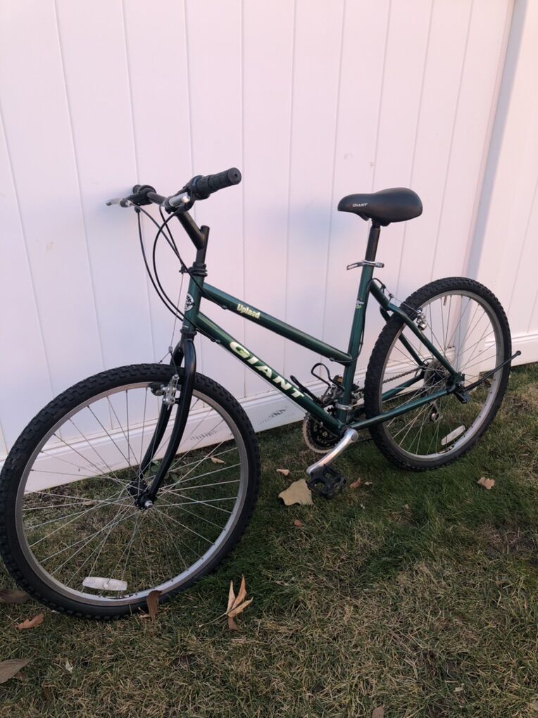 Giant 18 Speed Mountian Bike