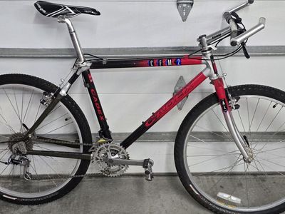 Giant Cadex Carbon fiber vintage