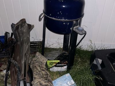 Free electric grill