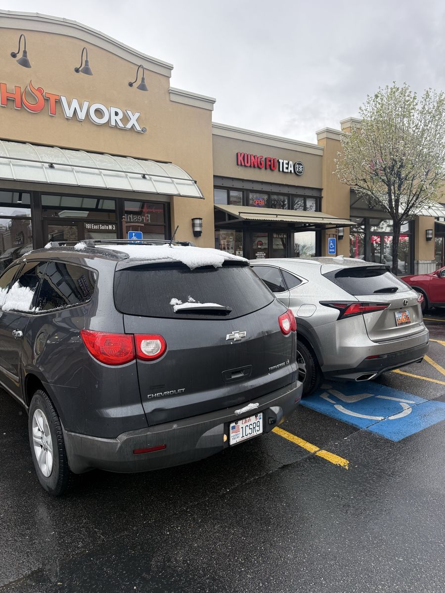 2009 Chevrolet Traverse LS