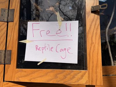 Free Large Oak Reptile Cage!