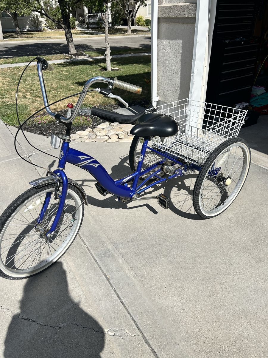 Adult tricycle- Daekar Tri-Star Blue 3-Speed Adult Tricycle with Basket
