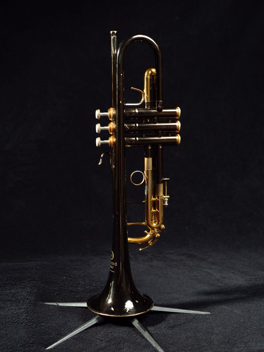Main image 5