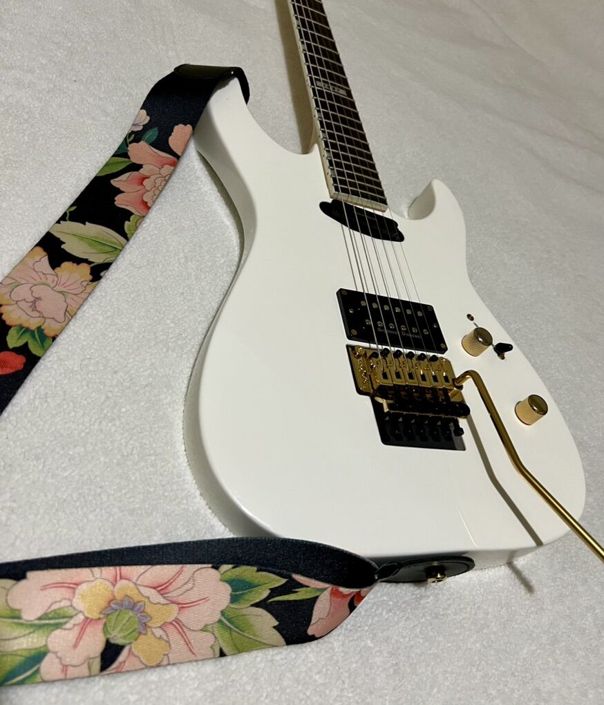 LTD ESP 1987 Edition
