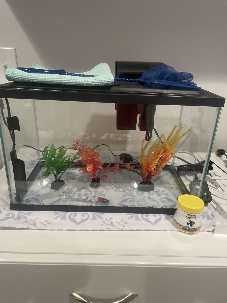 New 5 gallon aquarium
