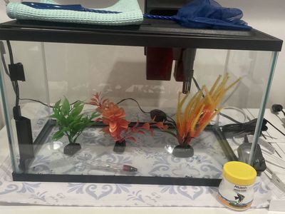 New 5 gallon aquarium