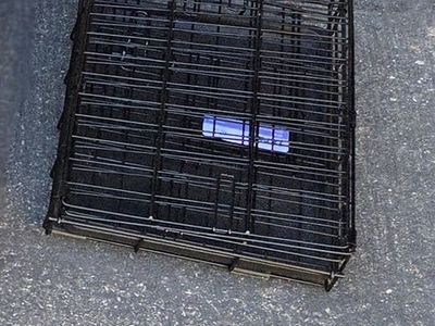 2 small kennels 25 each