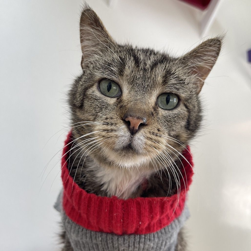 Hello my name is Blakely