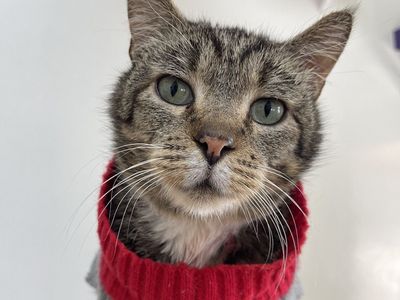 Hello my name is Blakely