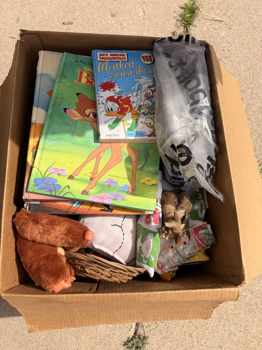 Mystery Antique Box's