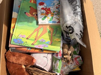 Mystery Antique Box's