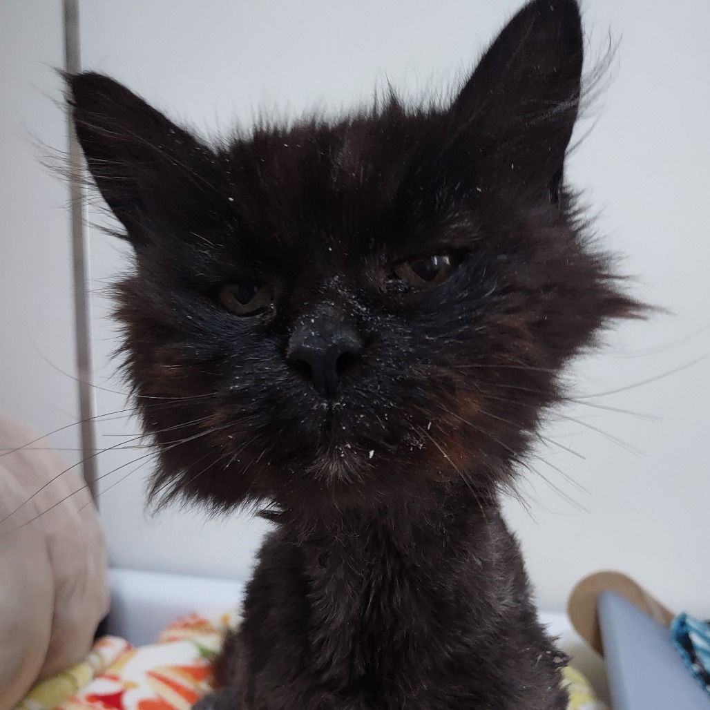 Hello my name is Siobhan