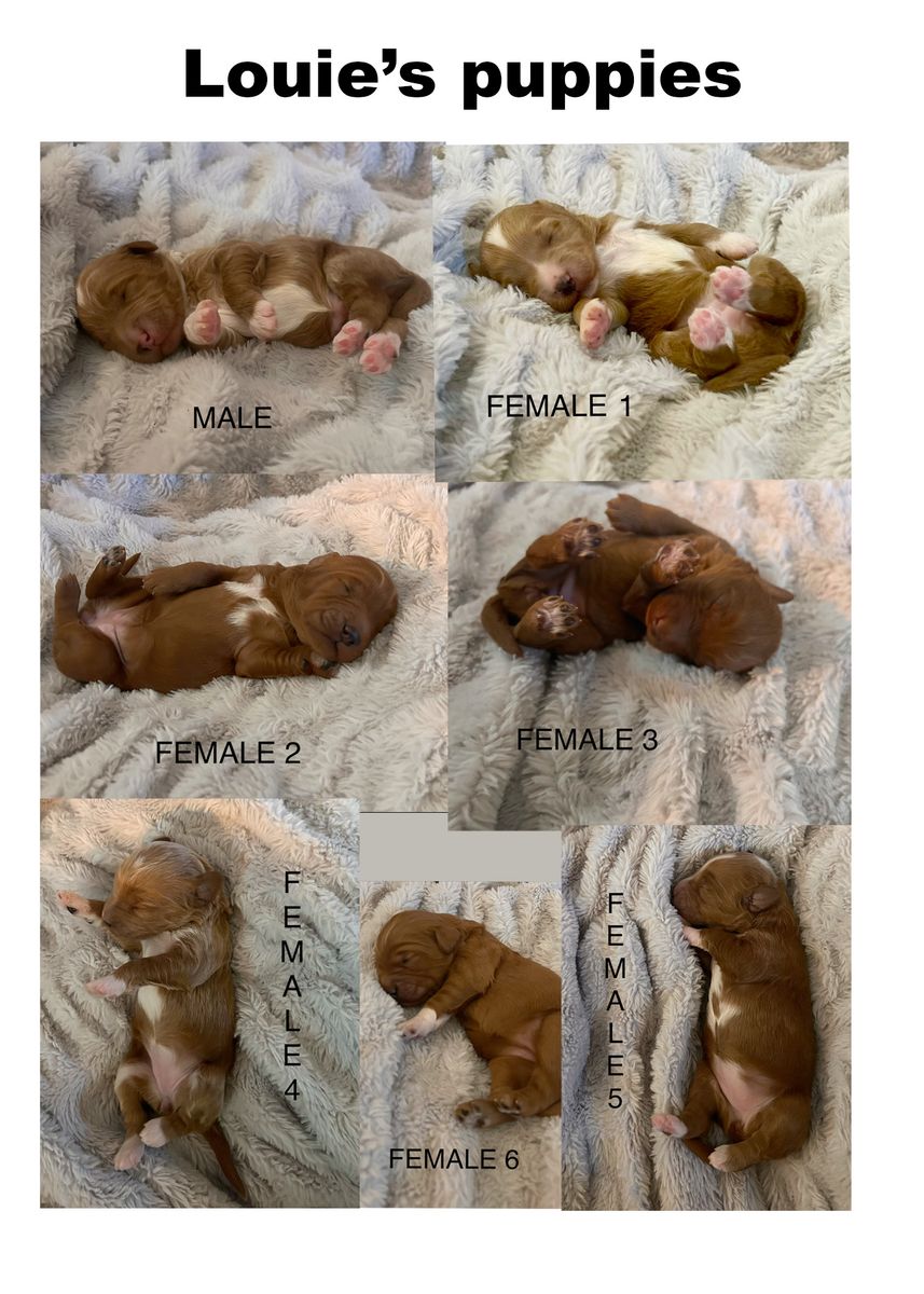 Main image 3