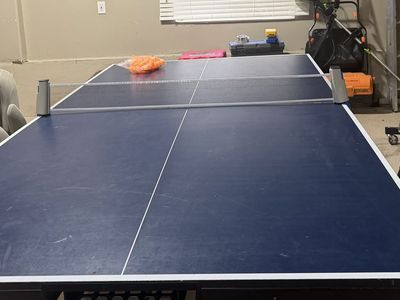 Ping Pong Table