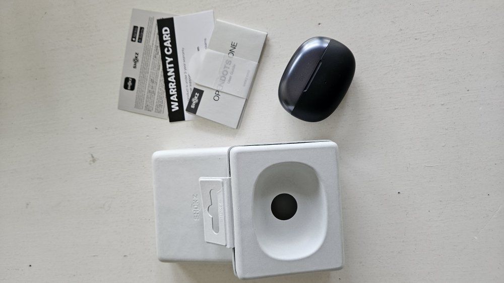 Shokz Open Dots One (Ear Buds)