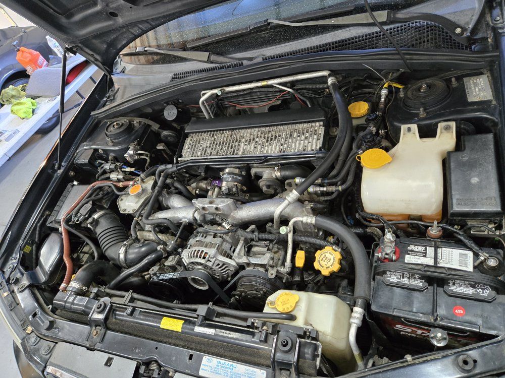 Main image 6