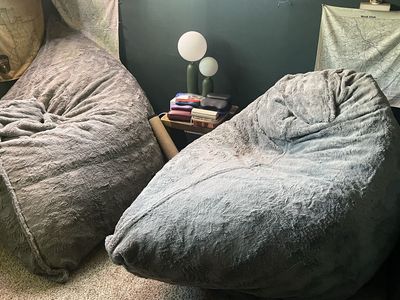LoveSac PillowSac Bean Bags