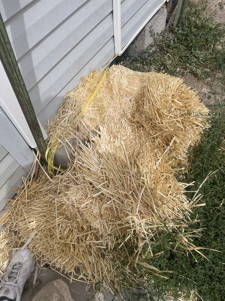Free 1 bundle straw for chickens