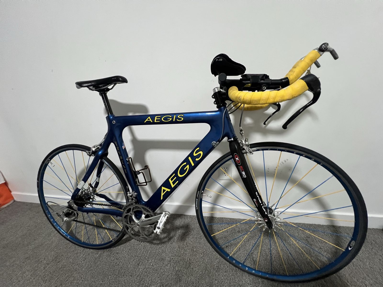 Aegis road bike, carbon fiber frame and forks