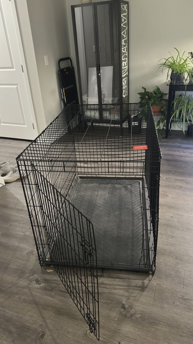 Dog kennel
