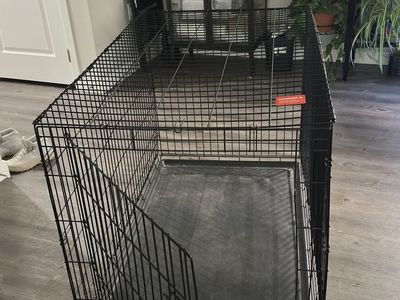 Dog kennel
