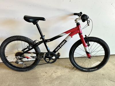 20" Raleigh Lily Kids Mountain Bike – 6-Speed Shimano