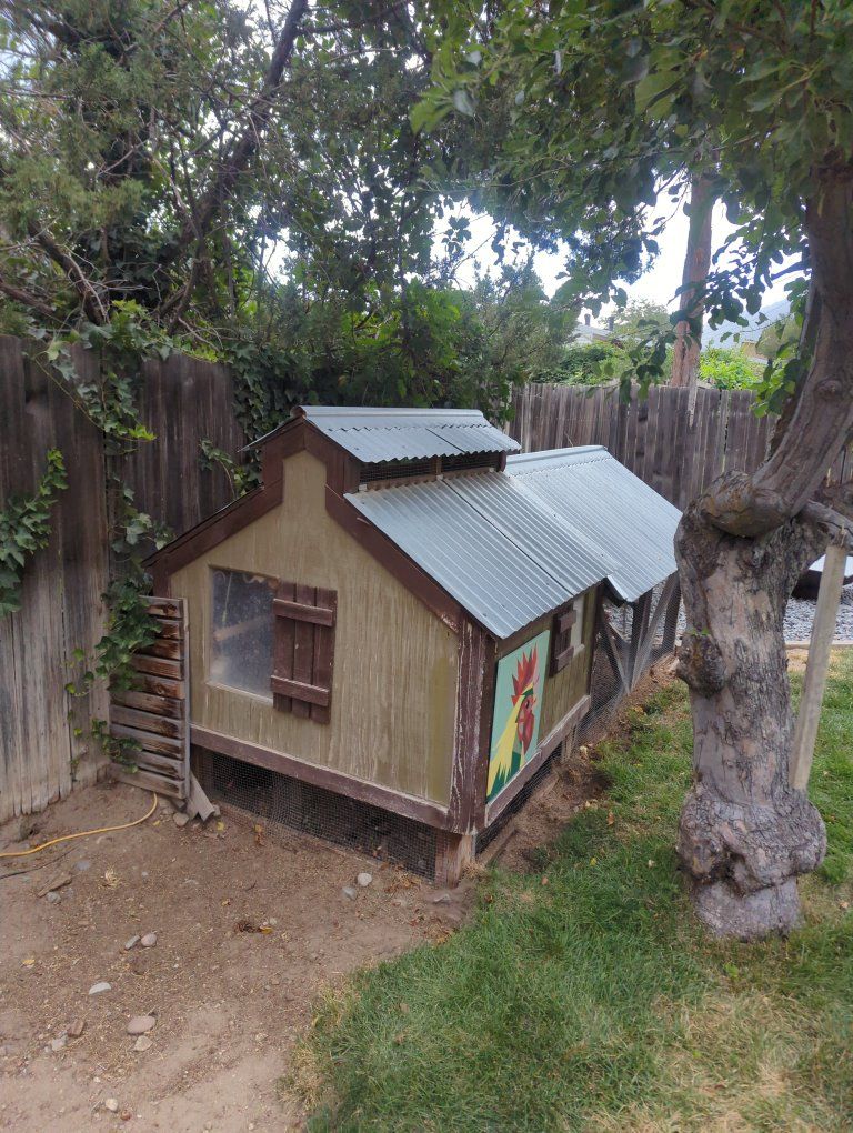 Chicken Coop and run