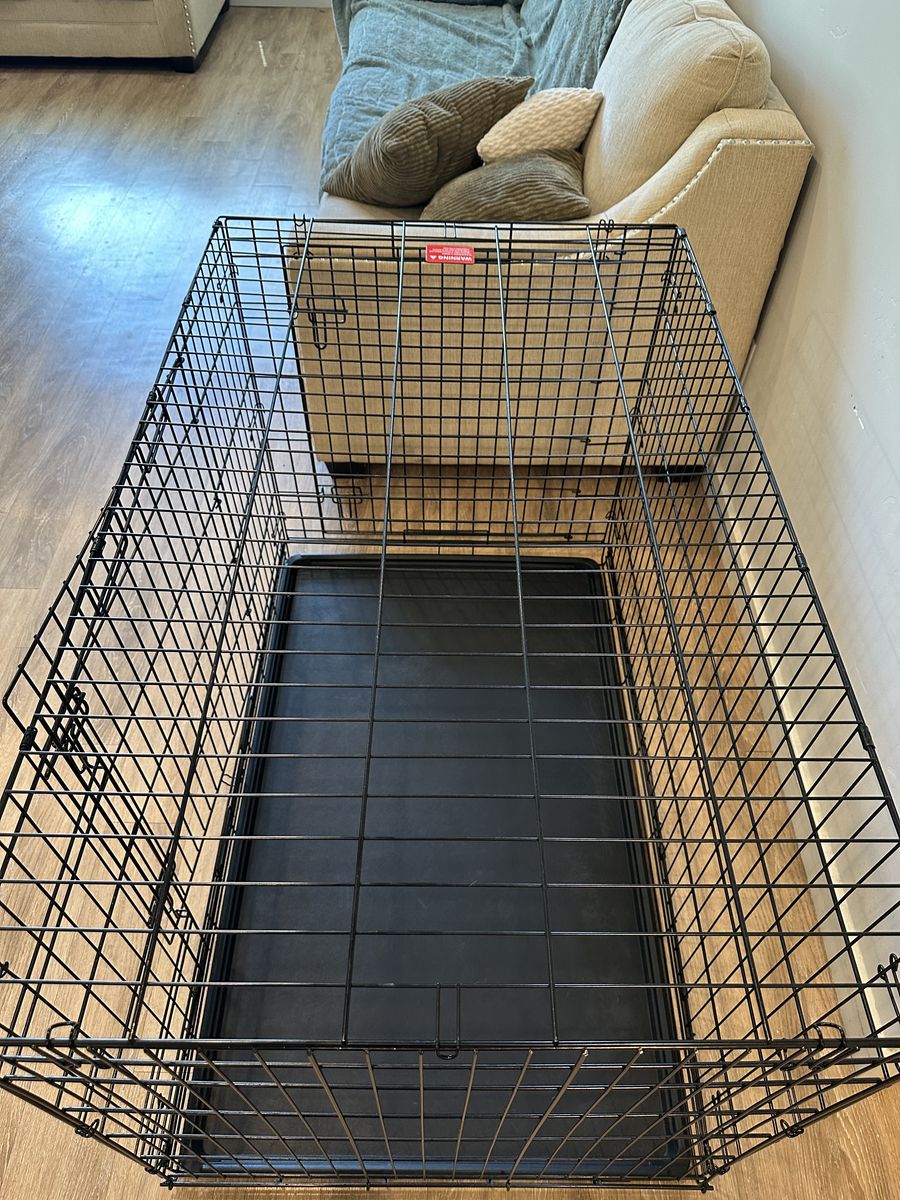 Dog Kennel