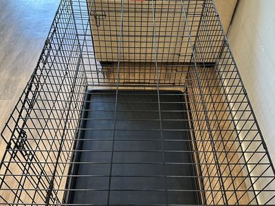 Dog Kennel