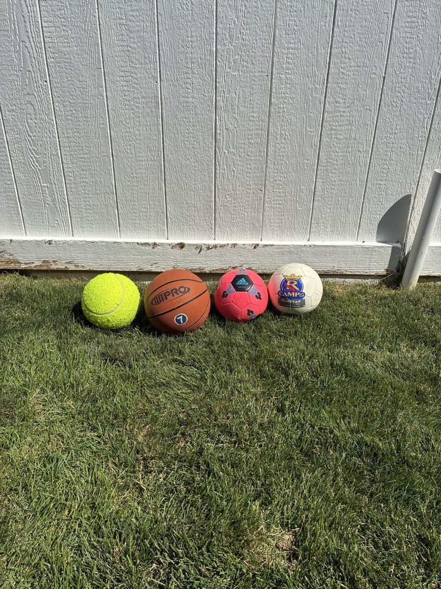 Assorted Sports Balls Lot - Basketball, Soccer Balls & Giant Tennis Ball