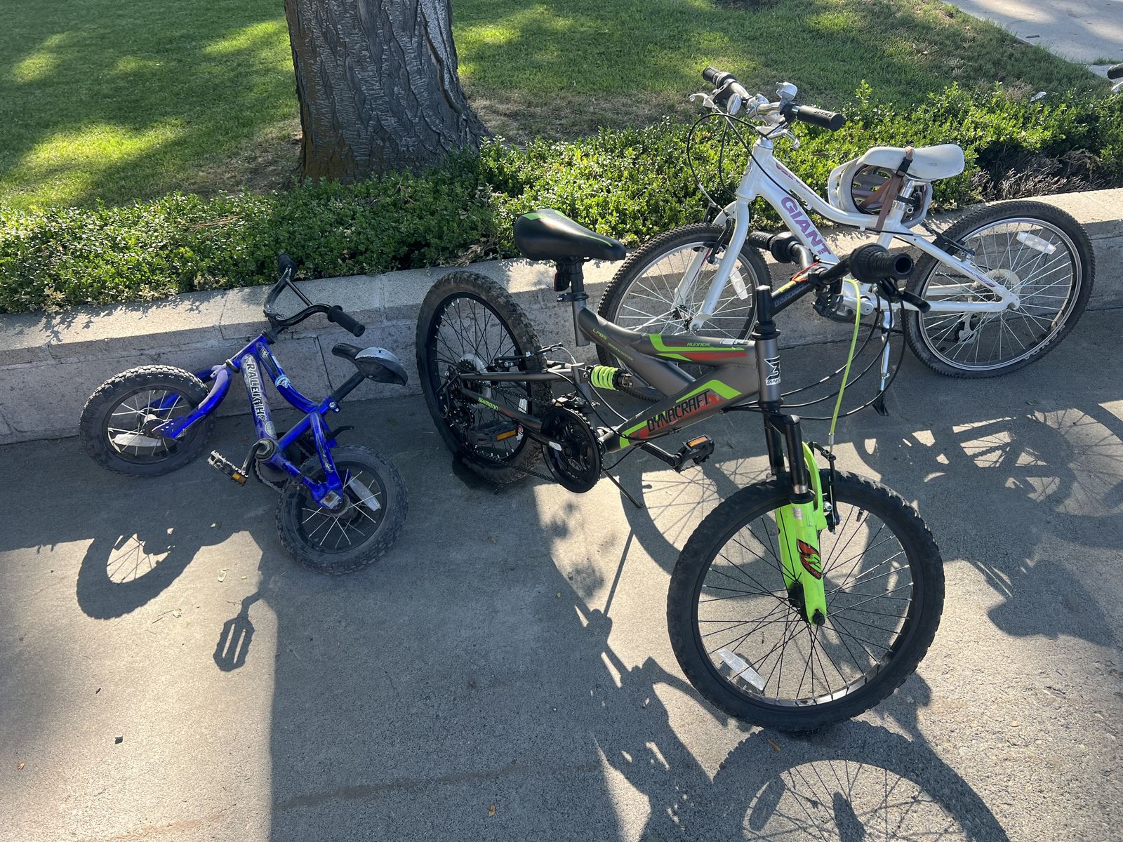 Sunday yard sale!