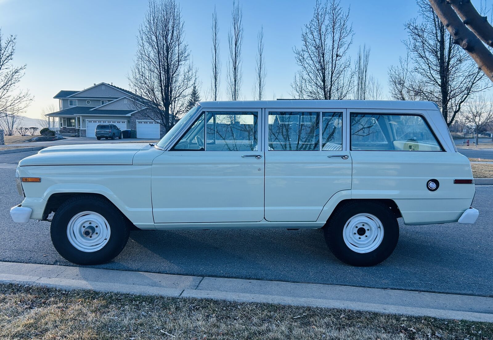 1980 JEEP GRAND WAGONEER Base
