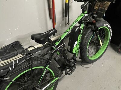 XF800 electric bike