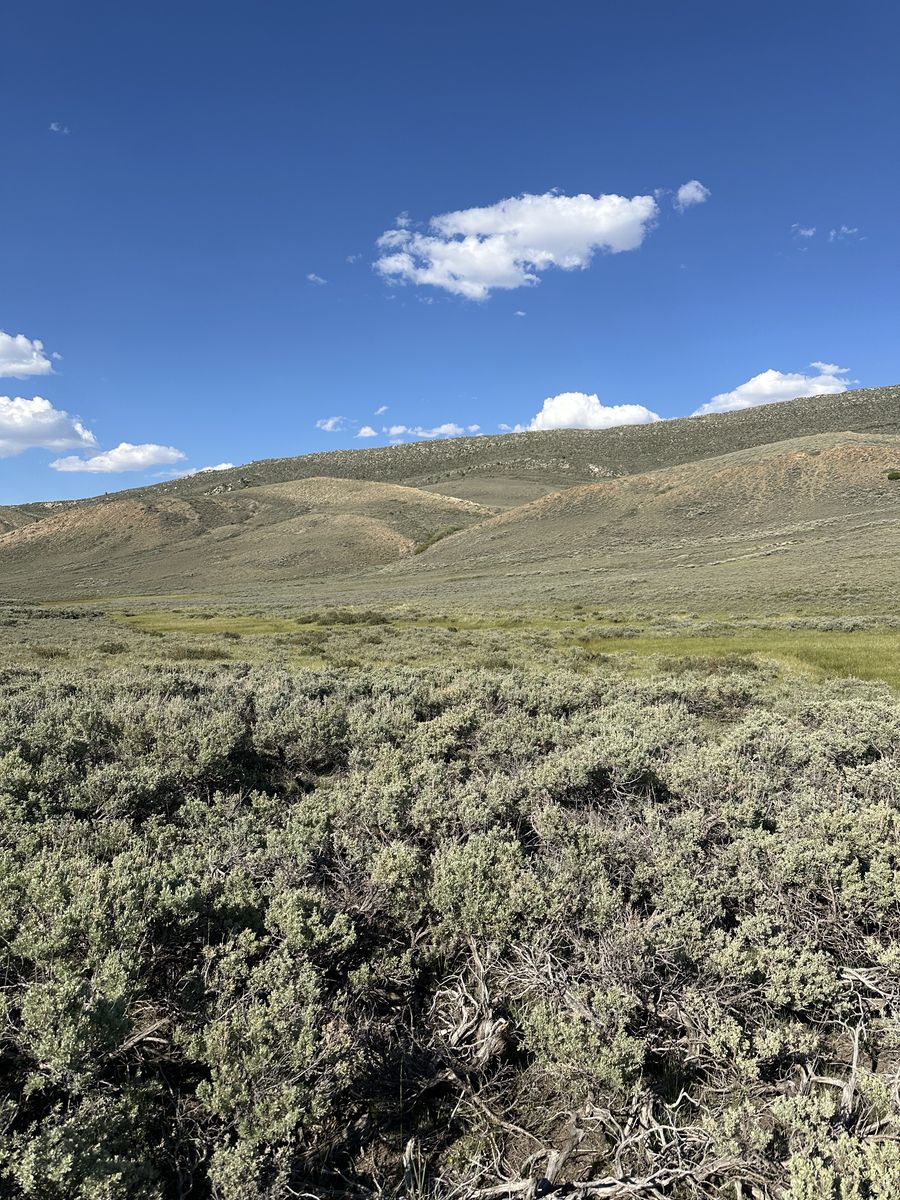 FOR SALE 157 Acres Recreational Land Kemmerer Wyoming