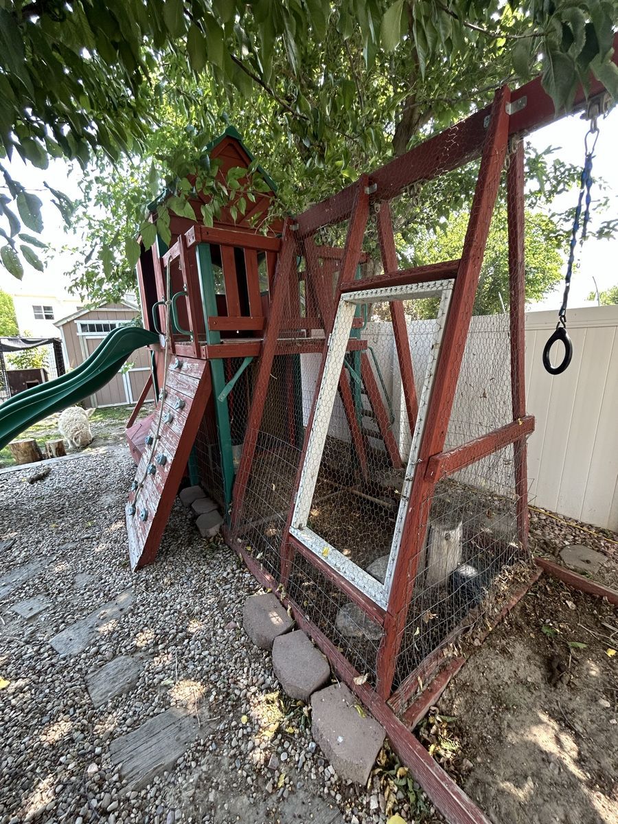 Main image 5