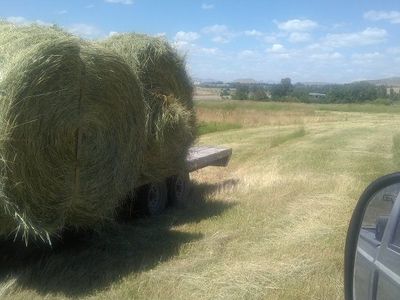 Pasture for rent