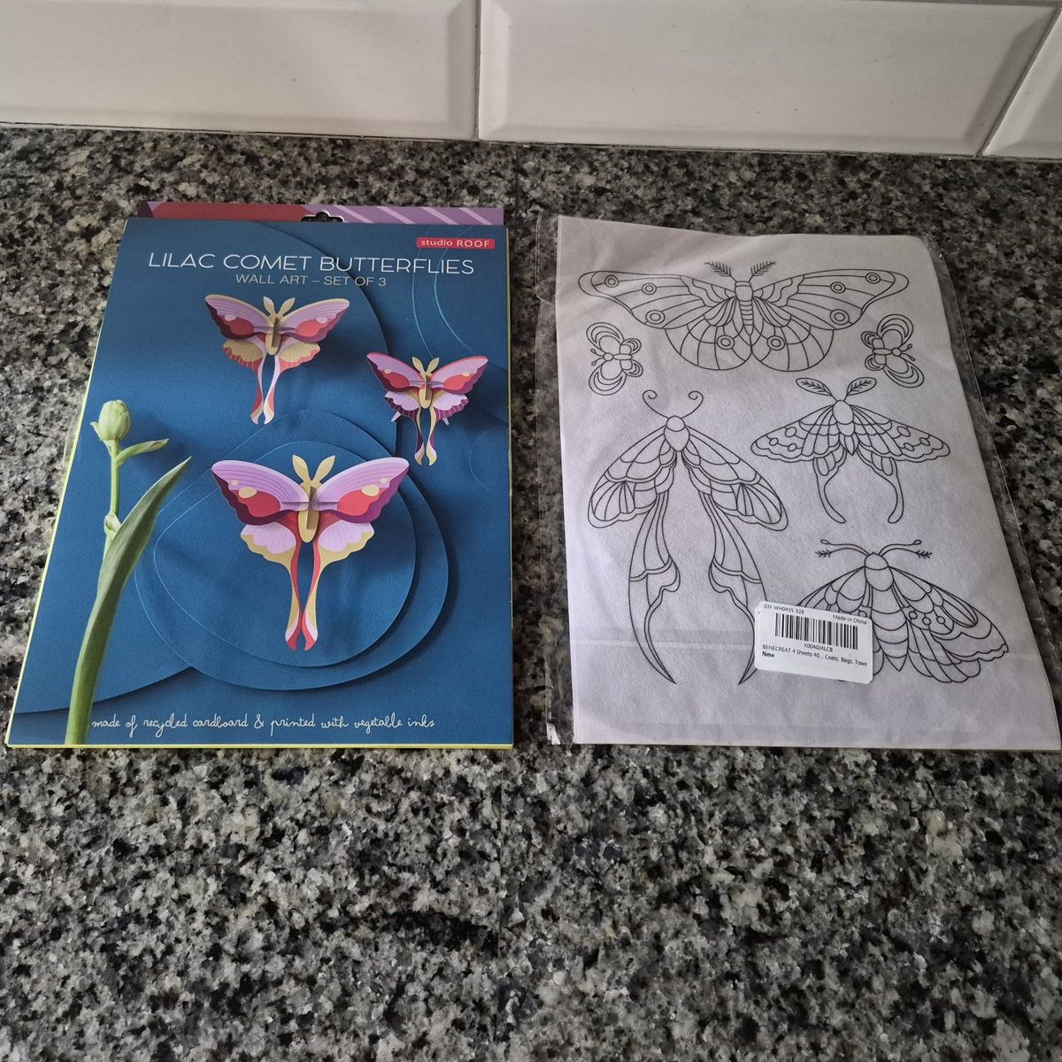 Butterfly & Moth Craft