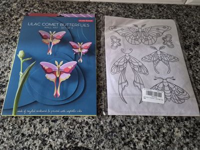 Butterfly & Moth Craft