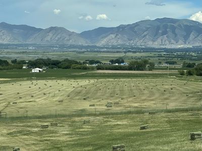 Grass Hay in small bales